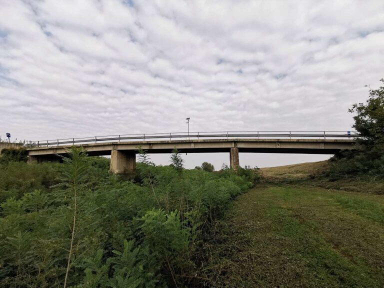 Ponti Bologna (Ponte SP50 Sillaro – Ponte SP21 Sassoleone)