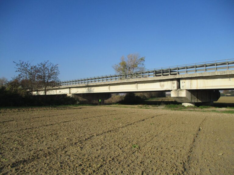 Nuovo ponte sul Fiume Saône