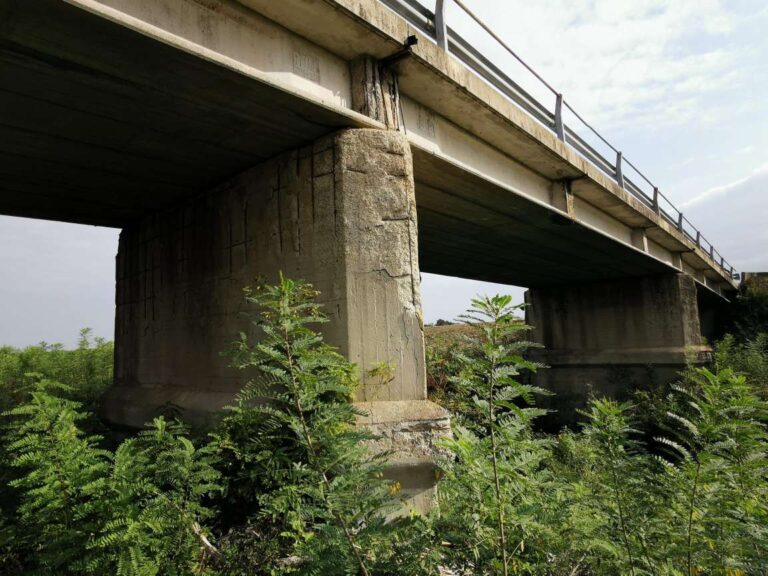 Ponti Bologna (Ponte SP50 Sillaro – Ponte SP21 Sassoleone)